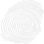 Fingerprint 03