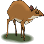 Antelope - Dwarf