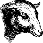 Antique Style Sheep