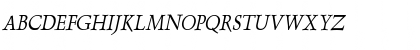 Dolphin Condensed Italic Font