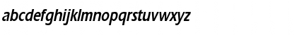 ErgoeCondensed Bold Italic Font