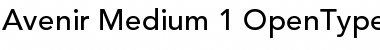 Avenir 65 Medium Font