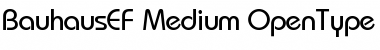 BauhausEF-Medium Regular Font
