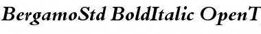 Bergamo Std Bold Italic Font
