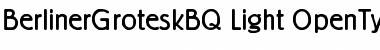 Download Berliner Grotesk BQ Font