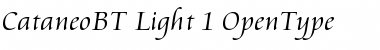 Cataneo Light Font