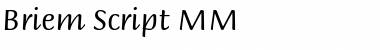 Briem Script MM Regular Font