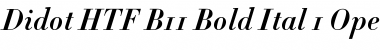 Didot HTF-B11-Bold-Ital