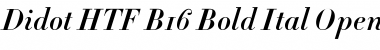 Didot HTF-B16-Bold-Ital Font