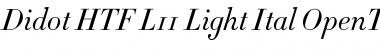 Didot HTF-L11-Light-Ital Font