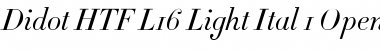 Didot HTF-L16-Light-Ital Font