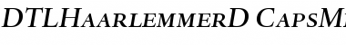 DTL Haarlemmer D Caps Medium Italic Font