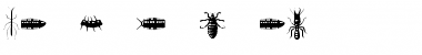 Download Insectile Font