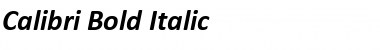 Calibri Bold Italic Font