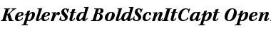 Kepler Std Bold Semicondensed Italic Caption Font