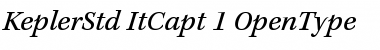 Kepler Std Italic Caption Font