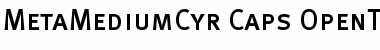 Download MetaMediumCyr-Caps Font