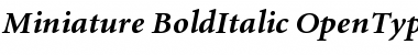 Miniature Bold Italic Font