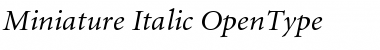 Miniature Italic Font