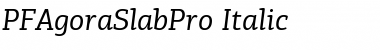 PF Agora Slab Pro Italic