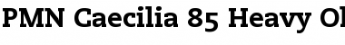 Caecilia RomanOsF Bold Font