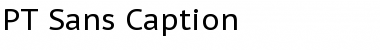 PT Sans Caption Regular Font