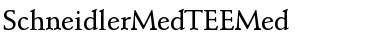 SchneidlerMedTEEMed Regular Font