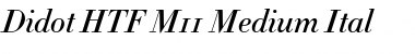 Didot Medium Italic Font
