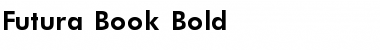 Futura_Book-Bold Regular Font