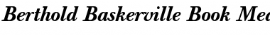 Berthold Baskerville Book Font