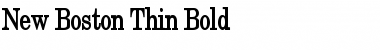 New Boston Thin Bold Font