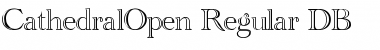 Download CathedralOpen DB Font