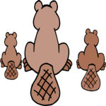 Beaver Family