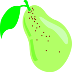 Pear 01