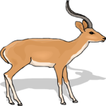 Antelope 39