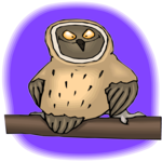 Owl - Happy