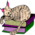 Cat on Books 2