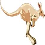 Kangaroo 01