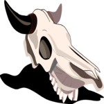 Steer Skull 11