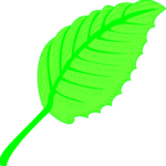 Leaf 050
