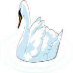 Swan 07