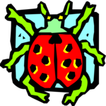 Ladybug 09