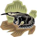 Anteater 5