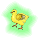 Chick 08