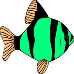 Fish 277