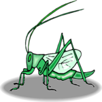 Grasshopper 10