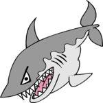 Shark 16