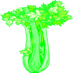 Celery 08