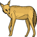 Hyena 5