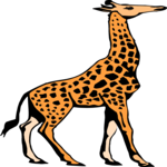 Giraffe 06